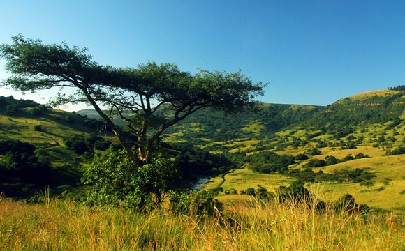 Karkloof VIEW