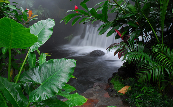 Tabacon - SPA - Natural Pool