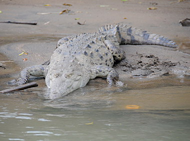 Costa Rica - Boat Trip