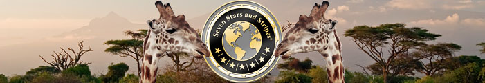 March - Newsletter - Seven Stars and Stripes