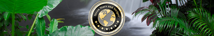 August - Newsletter - Seven Stars and Stripes