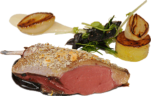 Restaurant Stenhus Cuisine
