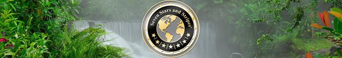 December 2009 - Newsletter - Seven Stars and Stripes