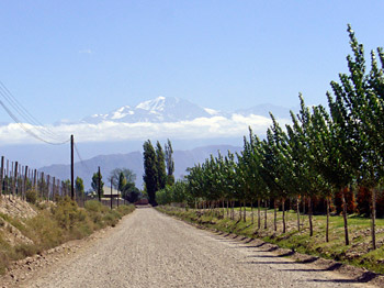 Terrazas de los Andes Malbec