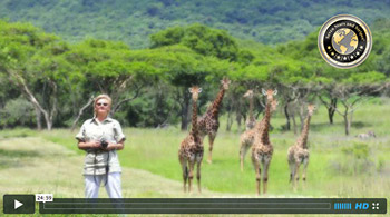 Seven Stars Travel TV-Show: Karkloof Safari Spa